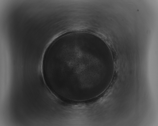 X0000101650196200807171300