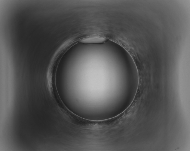 X0000101650197200807171300