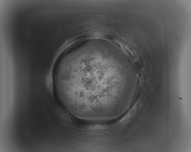 X0000101650198200807171300