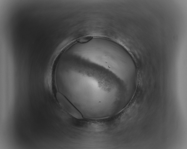 X0000101650199200807171300