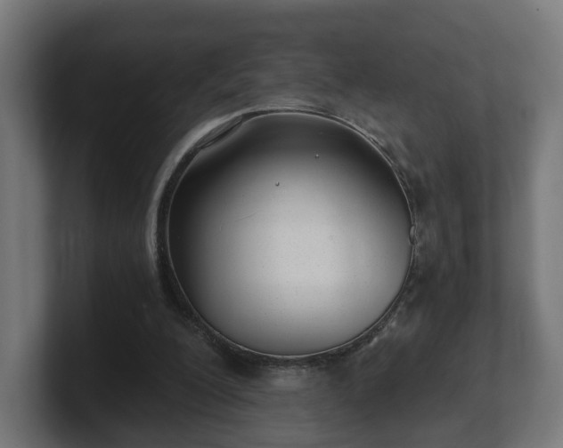 X0000101650200200807171300