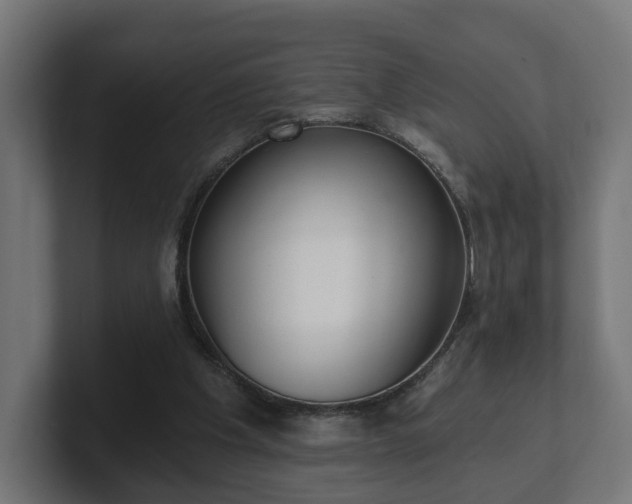 X0000101650201200807171300