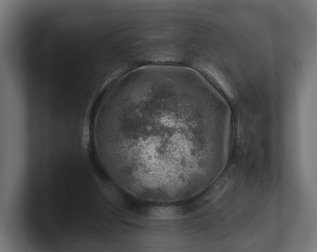 X0000101650202200807171300