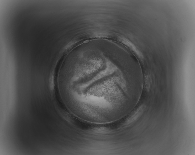 X0000101650203200807171300