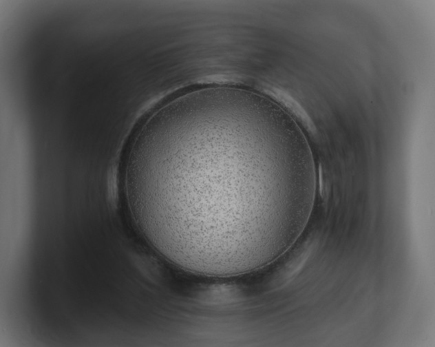 X0000101650204200807171300