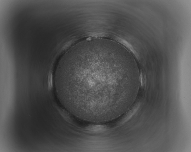 X0000101650205200807171300