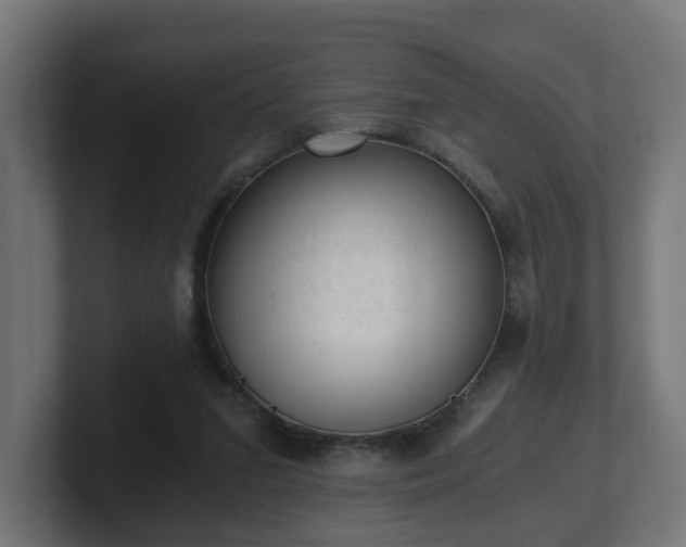 X0000101650207200807171300