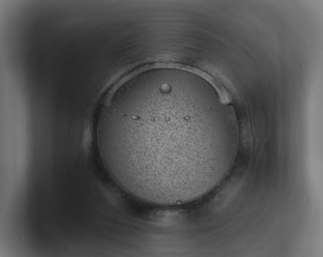 X0000101650208200807171300