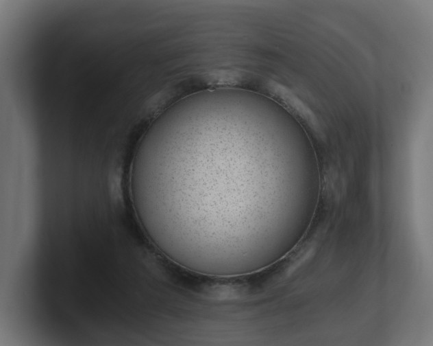 X0000101650209200807171300