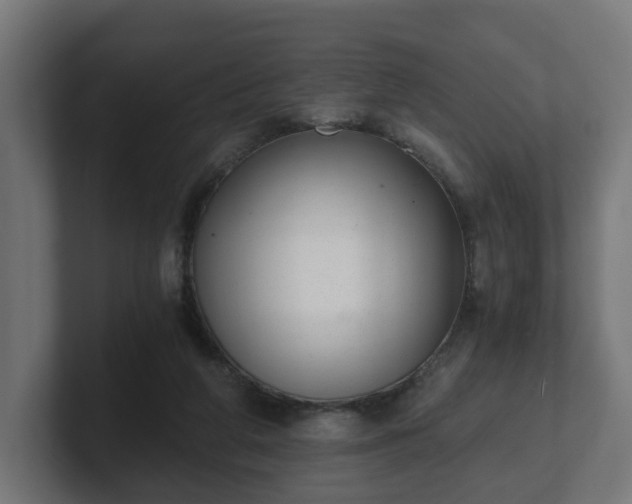 X0000101650210200807171300