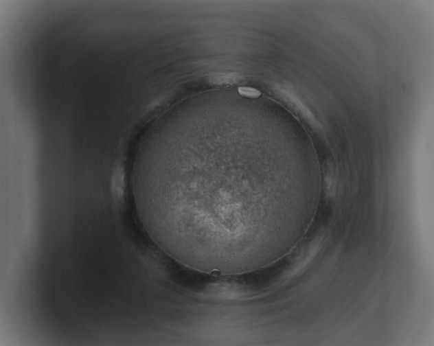 X0000101650211200807171300