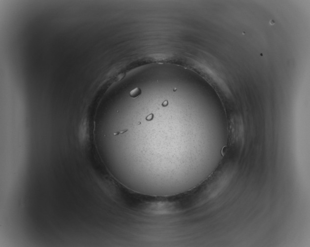 X0000101650212200807171300