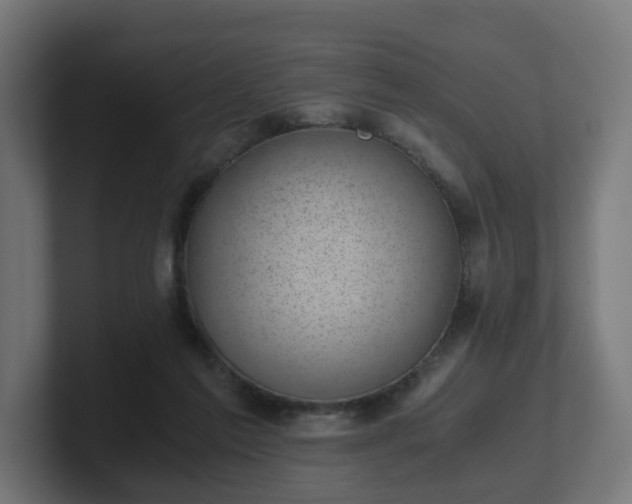 X0000101650213200807171300