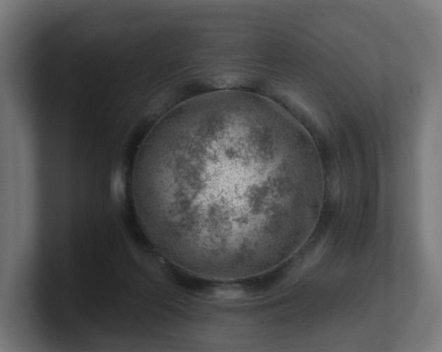 X0000101650214200807171300