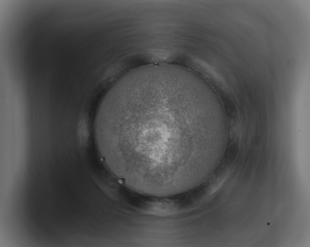 X0000101650215200807171300