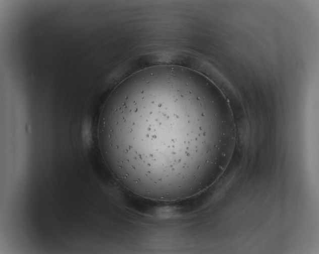 X0000101650216200807171300