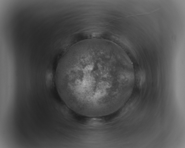 X0000101650222200807171300