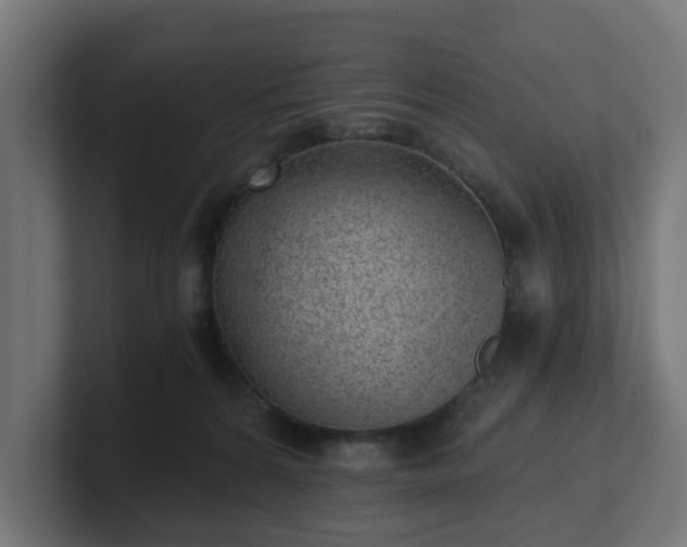 X0000101650224200807171300