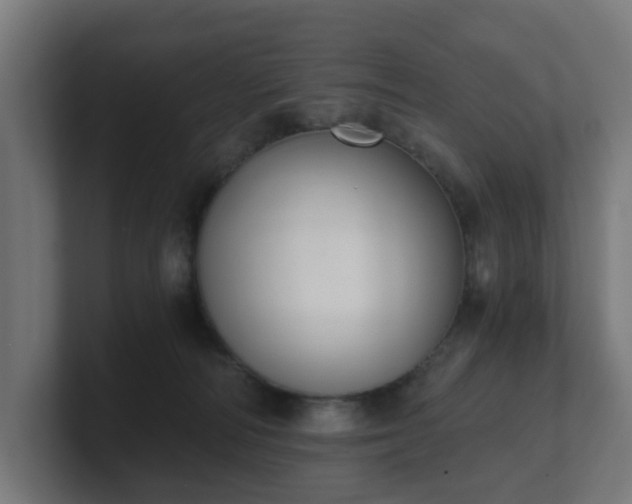 X0000101650226200807171300