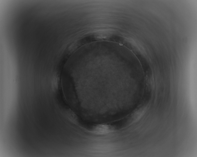 X0000101650227200807171300