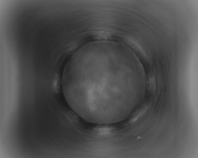 X0000101650228200807171259