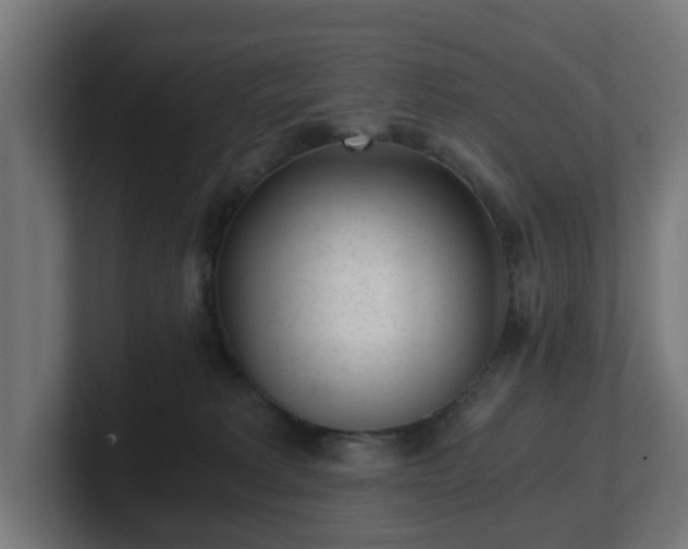 X0000101650229200807171259