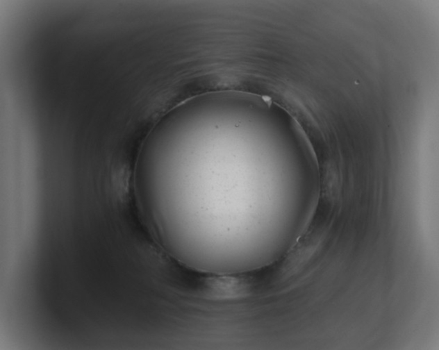 X0000101650230200807171259