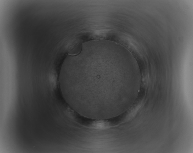 X0000101650231200807171259