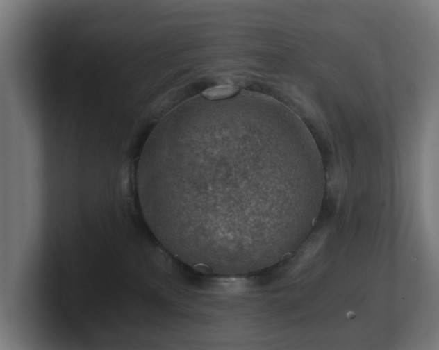 X0000101650233200807171259