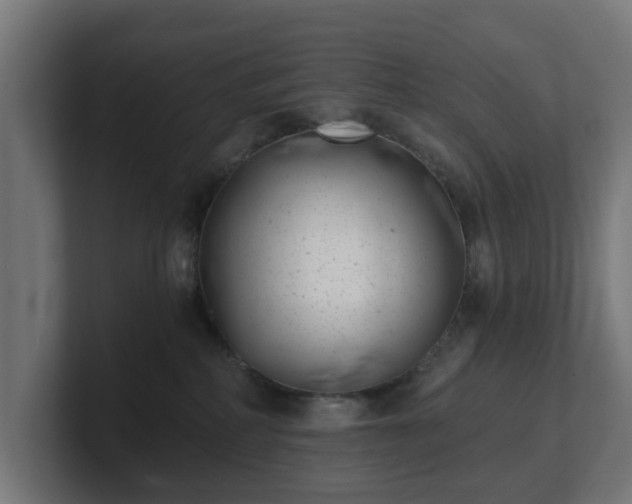 X0000101650234200807171259