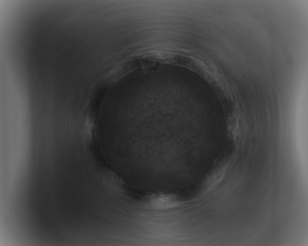 X0000101650235200807171259