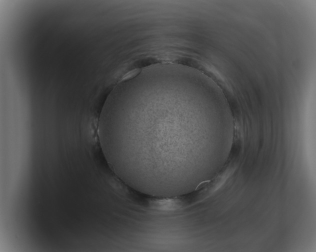 X0000101650237200807171259