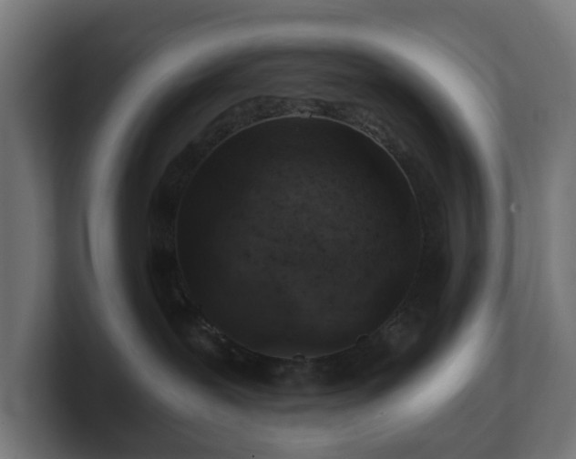 X0000101650239200807171259