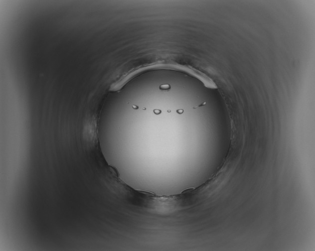 X0000101650240200807171259