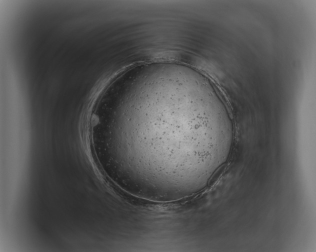 X0000101650241200807171259