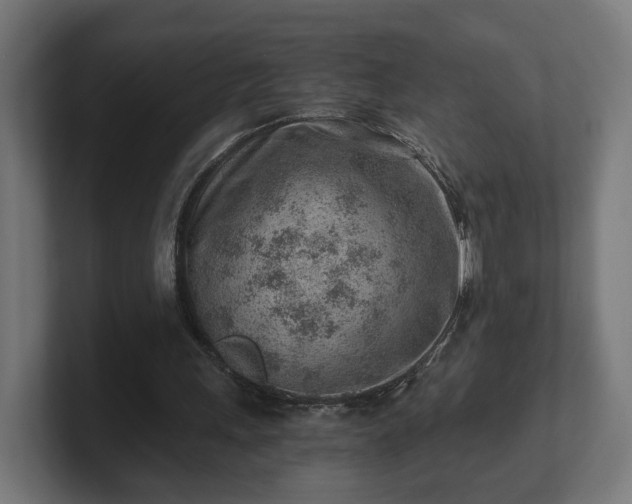 X0000101650243200807171259