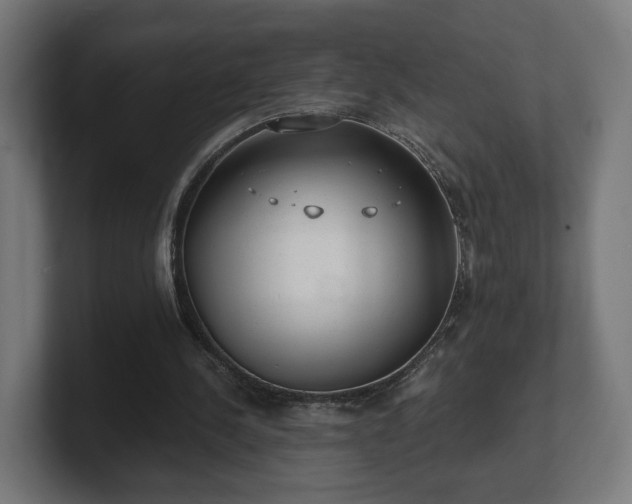 X0000101650244200807171259