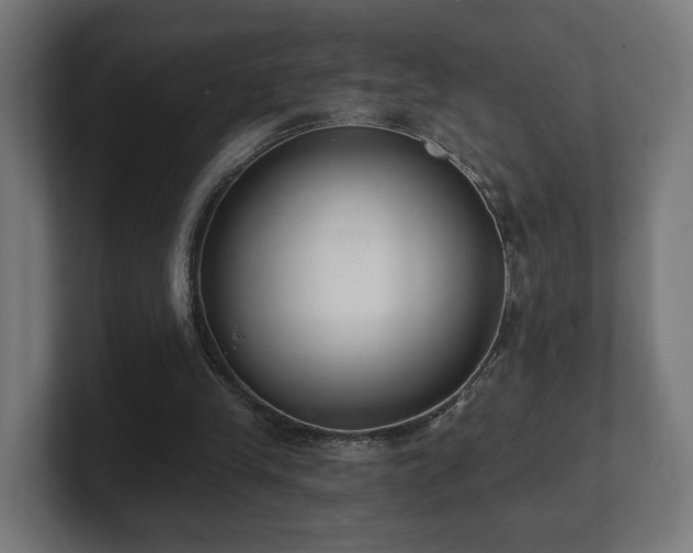 X0000101650245200807171259