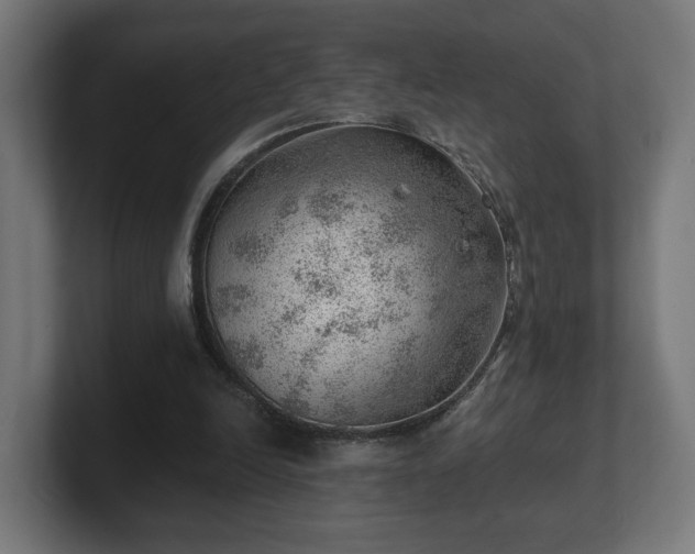 X0000101650246200807171259