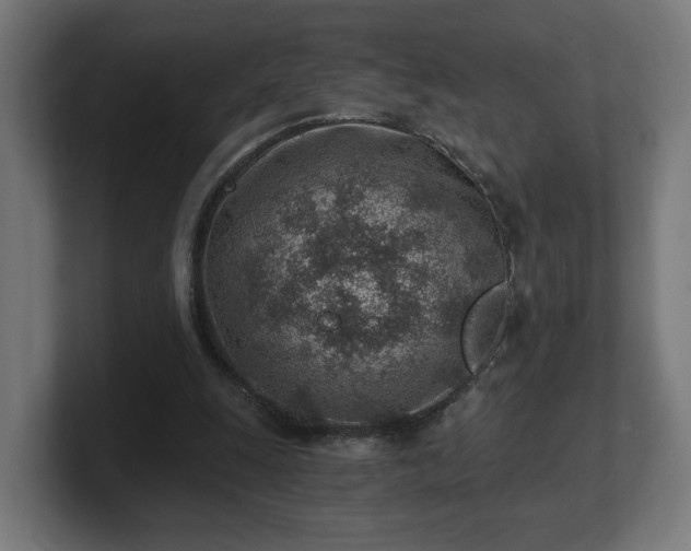 X0000101650247200807171259