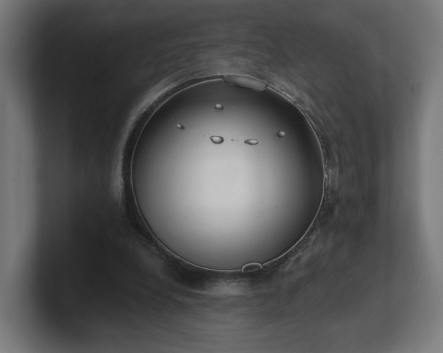 X0000101650248200807171259