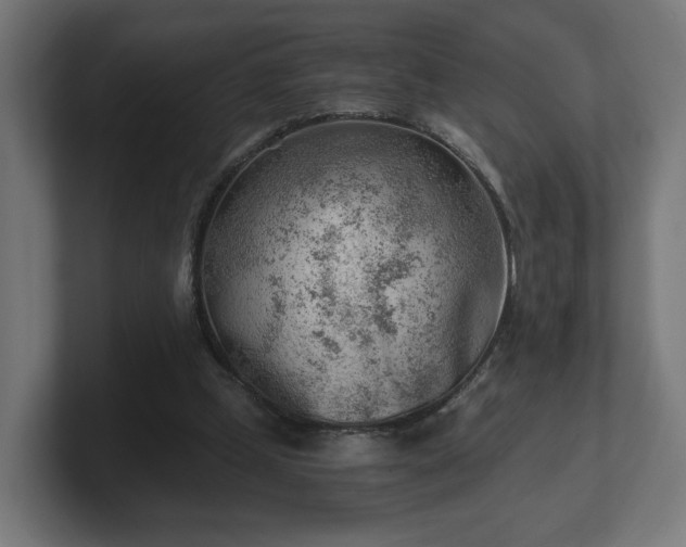 X0000101650249200807171259