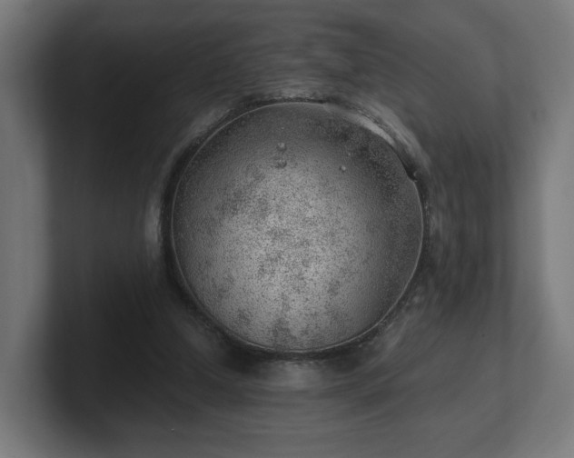 X0000101650250200807171259