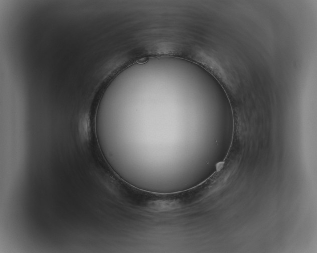 X0000101650251200807171259