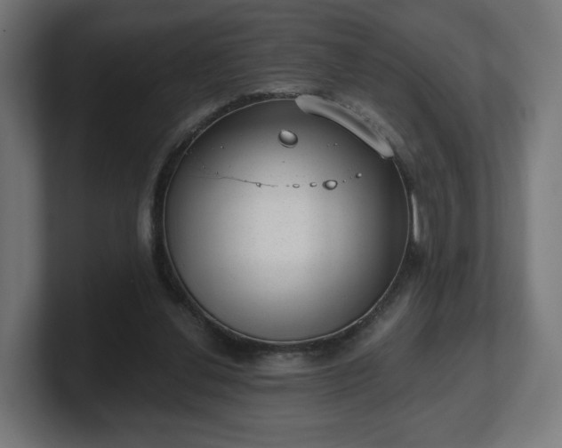 X0000101650252200807171259