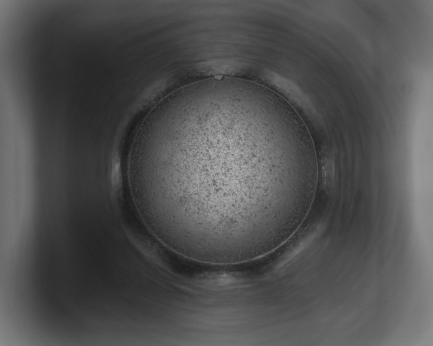 X0000101650254200807171259