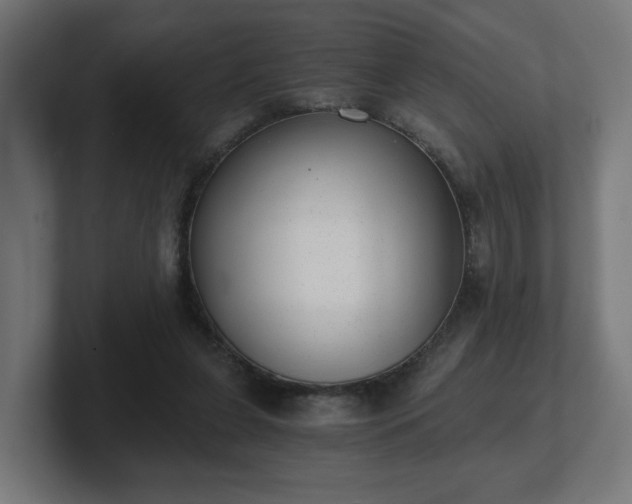 X0000101650255200807171259