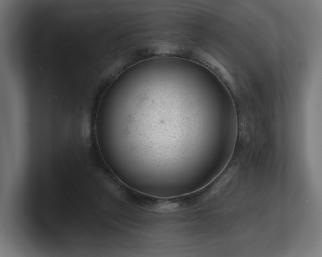 X0000101650257200807171259