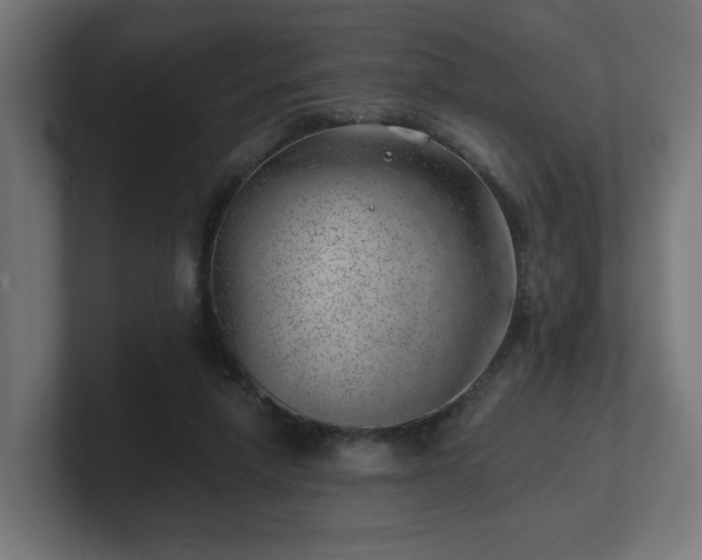 X0000101650258200807171259