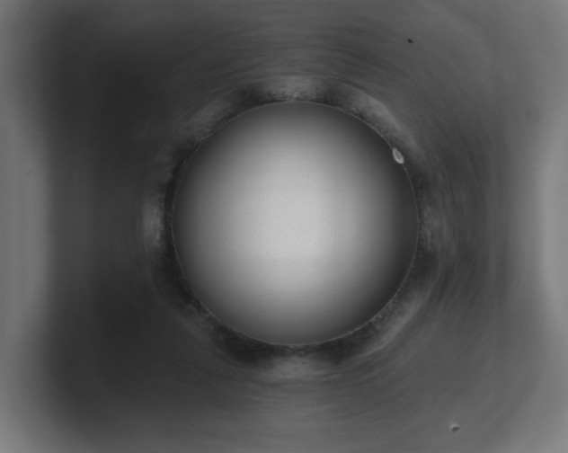 X0000101650259200807171259